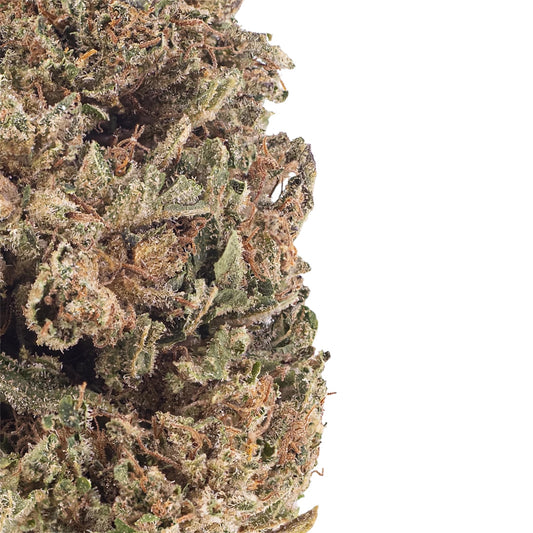 Bubba-kush-cbd-buds-closeup