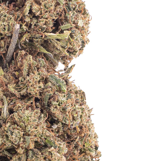 Bubble-pop-cbd-buds-closeup