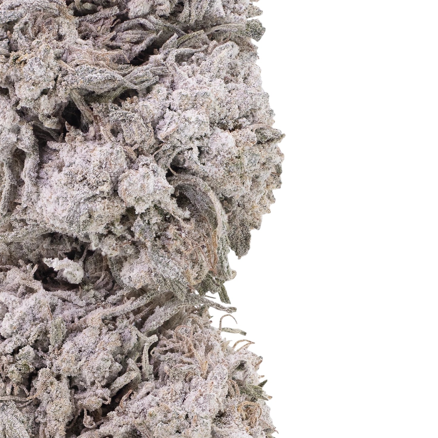 Diesel-thcabuds-closeup