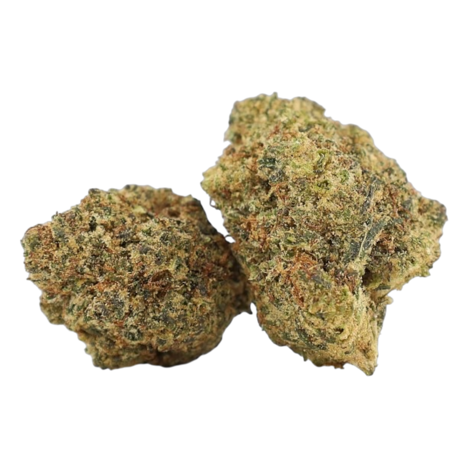 cbd buds