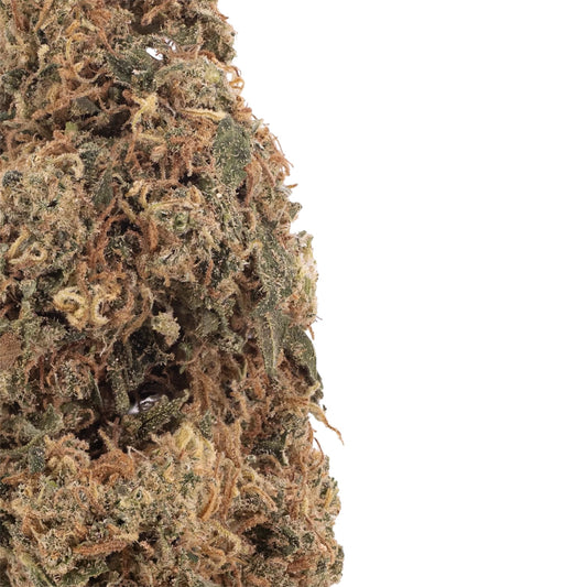 Rainbow-runtz-cbd-buds-closeup