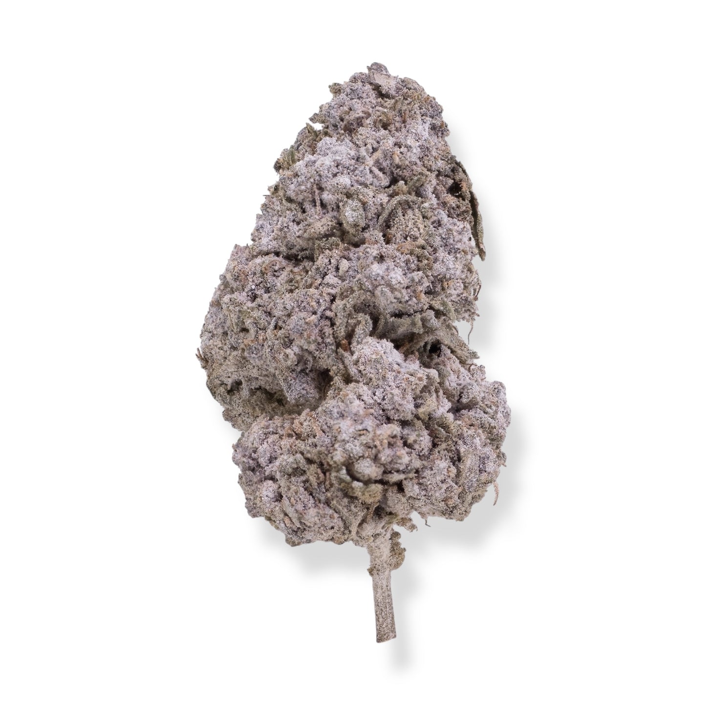 THCA BUDS SVERIGE Purple candy
