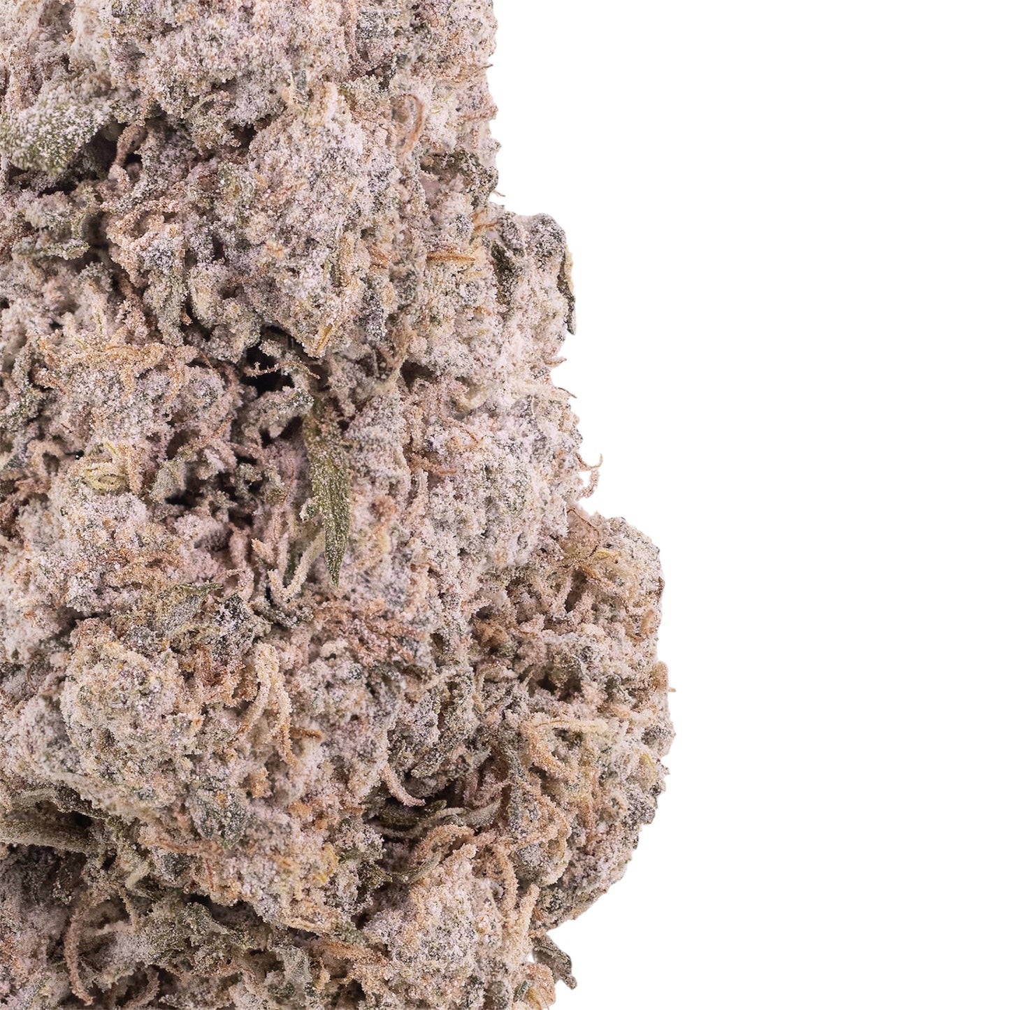 Zkittlez-closeup
