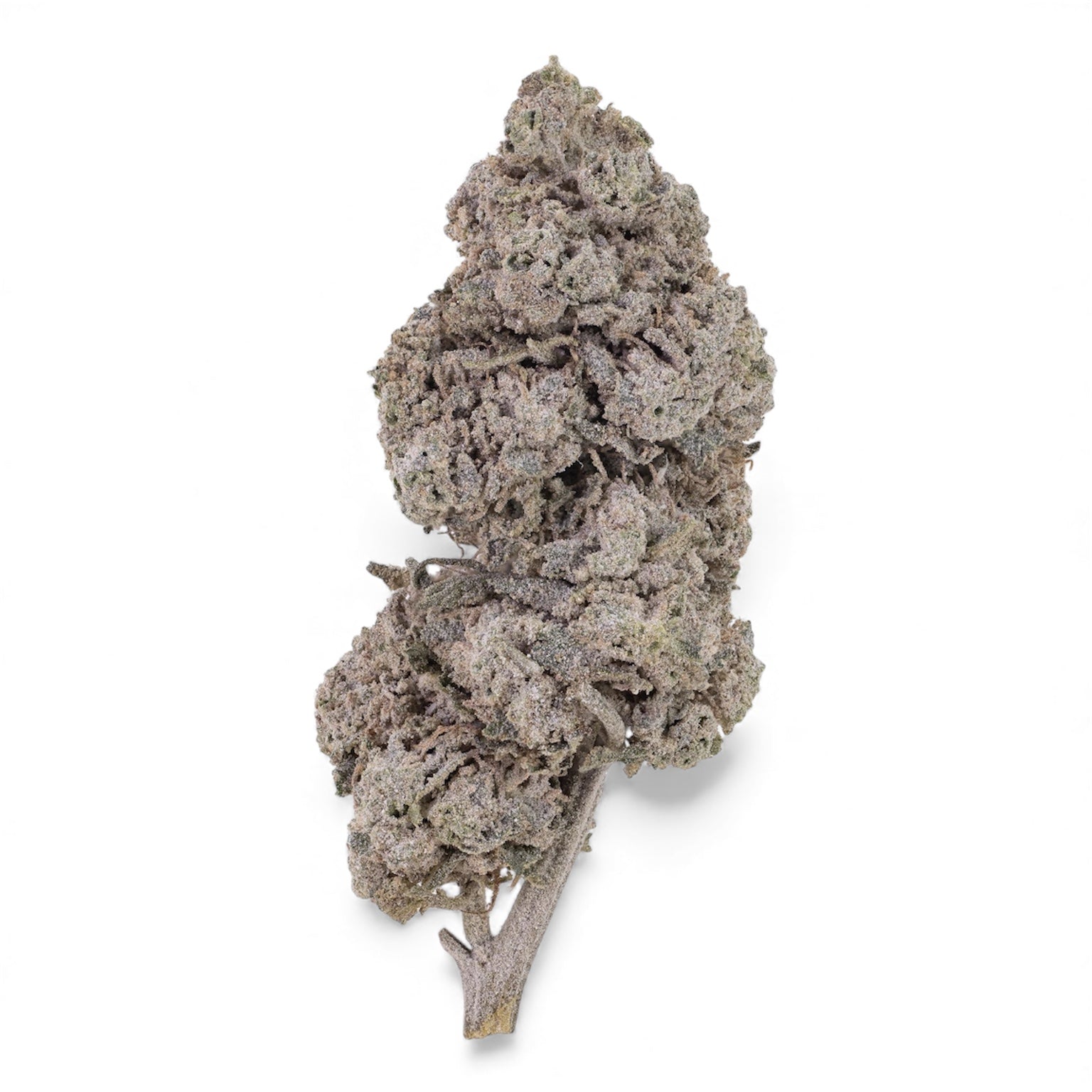 Bubblegum-thca-buds