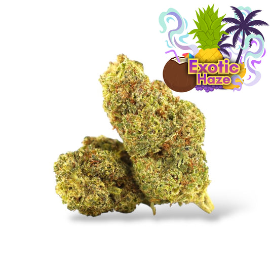 CBD BUDS SVERIGE EXOTIC HAZE