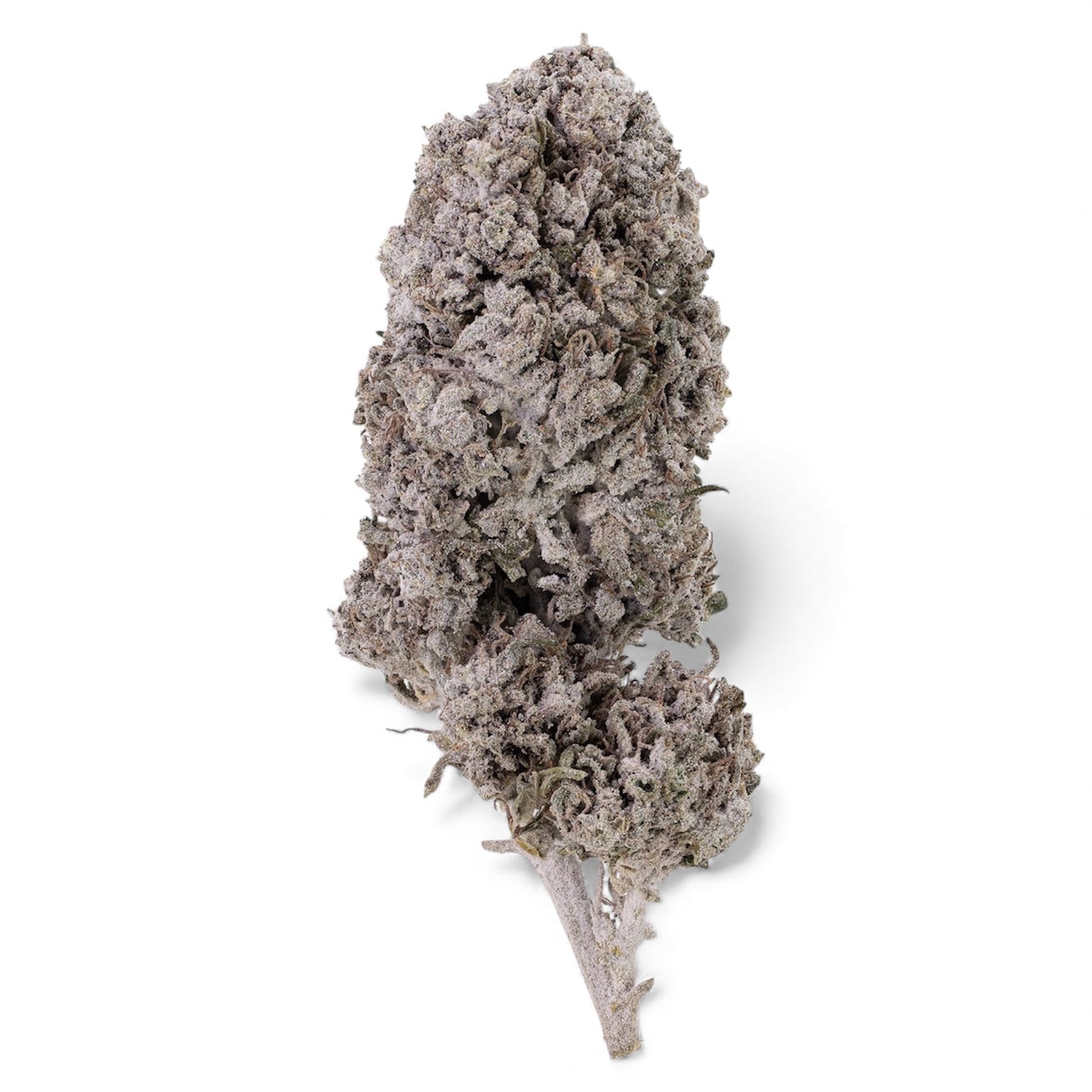 Cherrypie-thca-buds