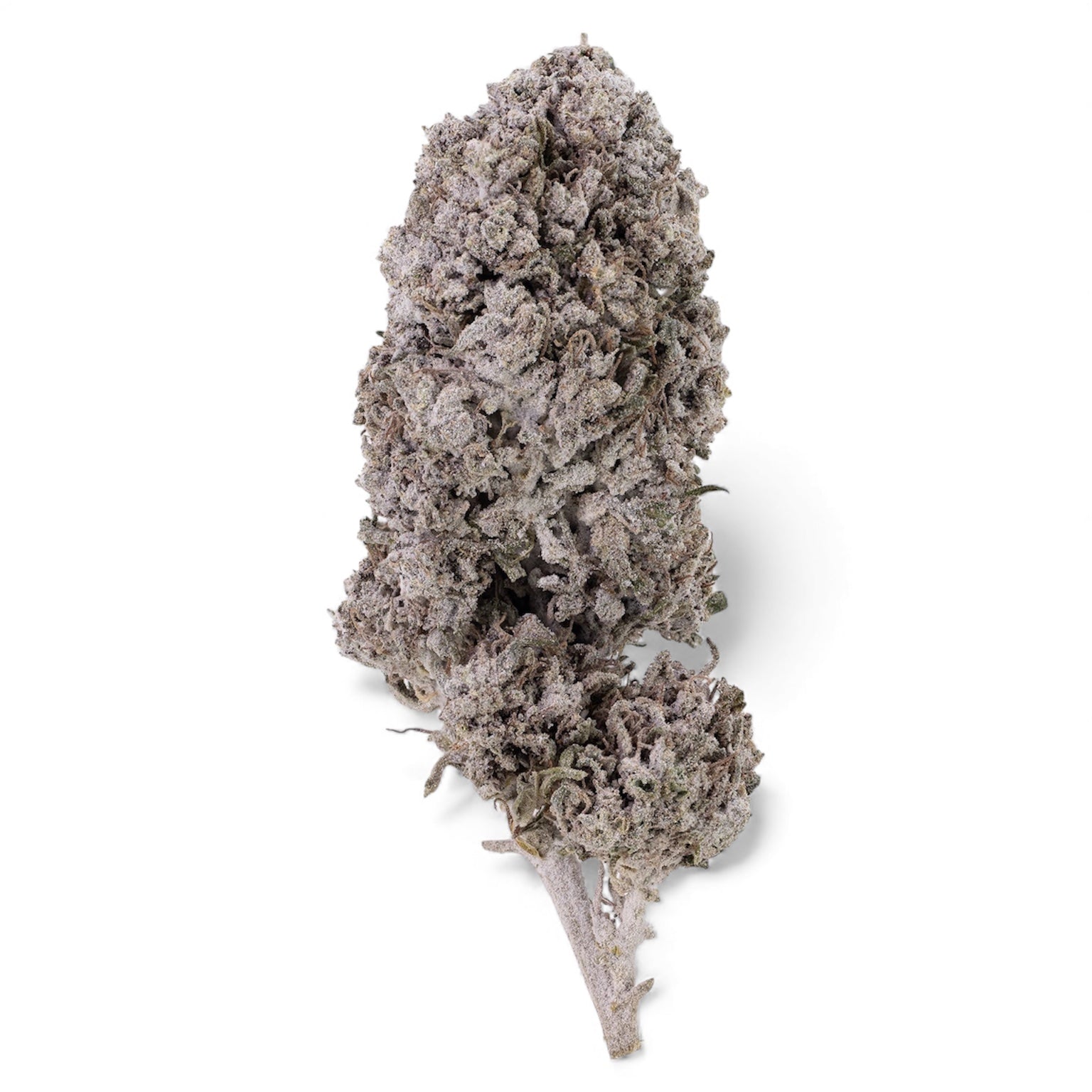 Cherrypie-thca-buds