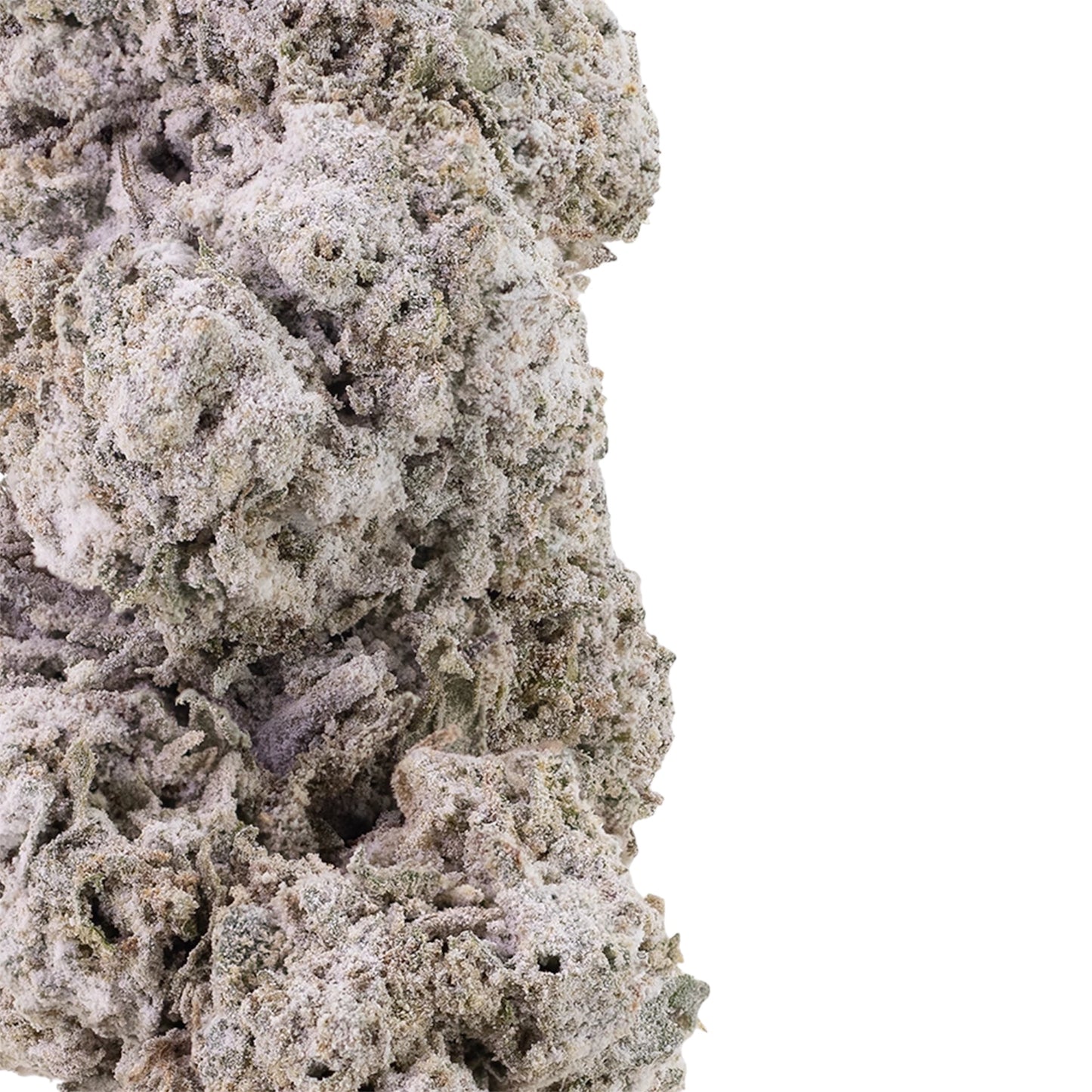 Ice-indoor-thcabuds-closeup