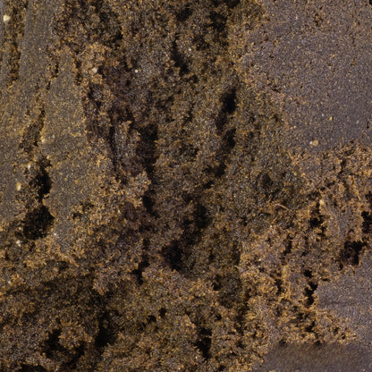 Light-charas-closeup