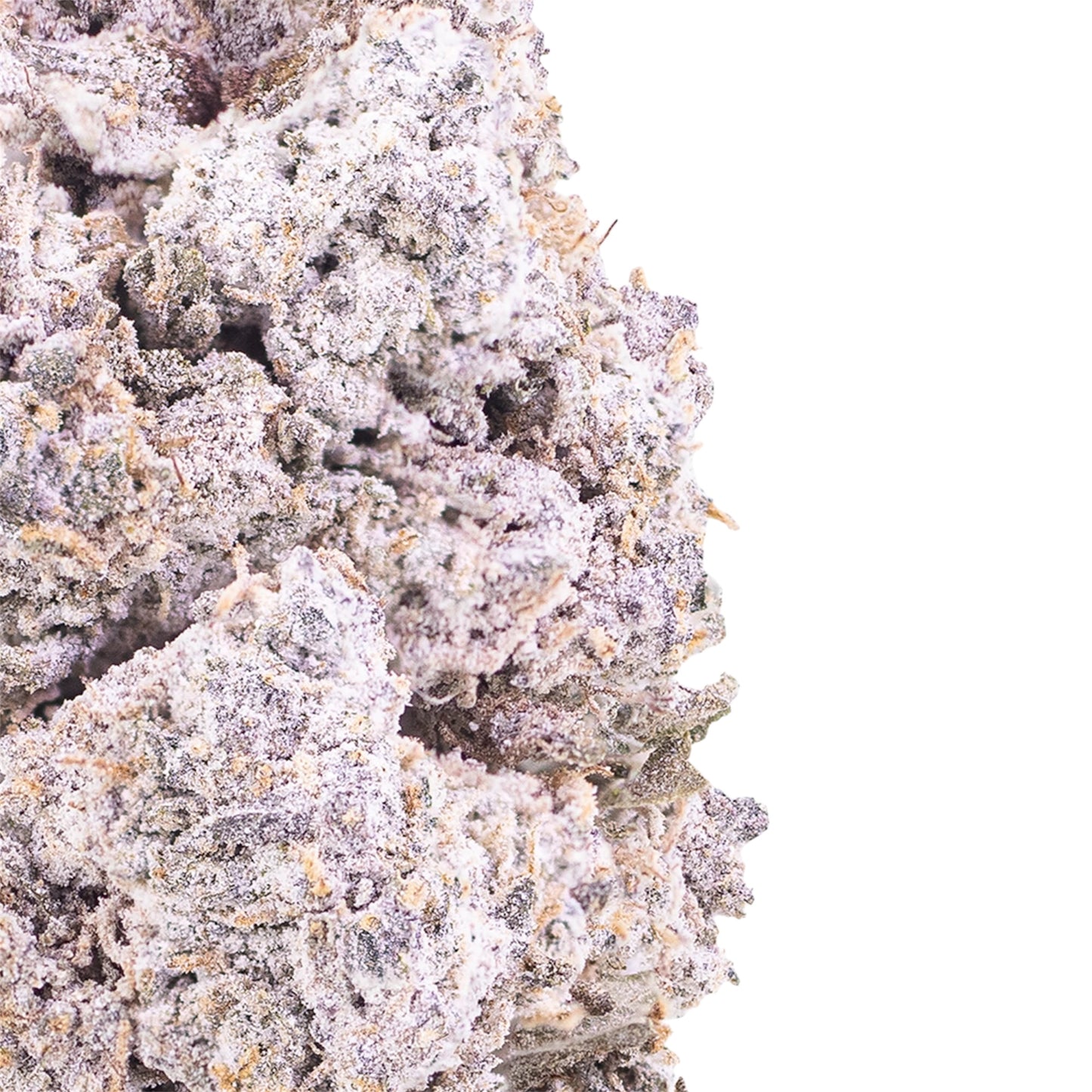Purplecandy-thcabuds-closeup