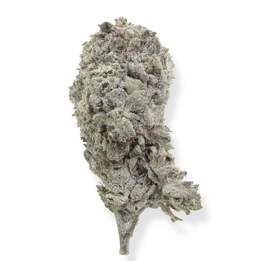 THCA BUDS SVERIGE amnesia glasshouse