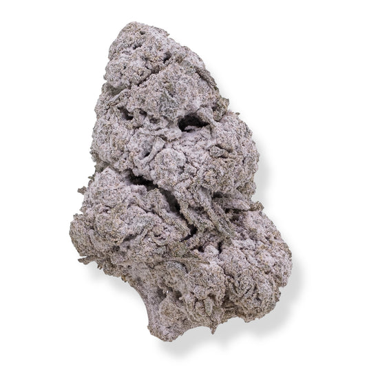 THCA BUDS SVERIGE critical mass
