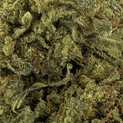 amnesia-infused-closeup-image