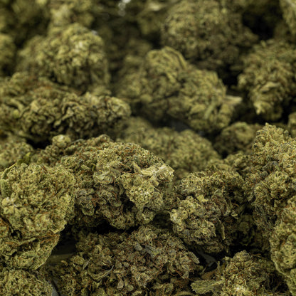 amnesia-infused-closeup-image2