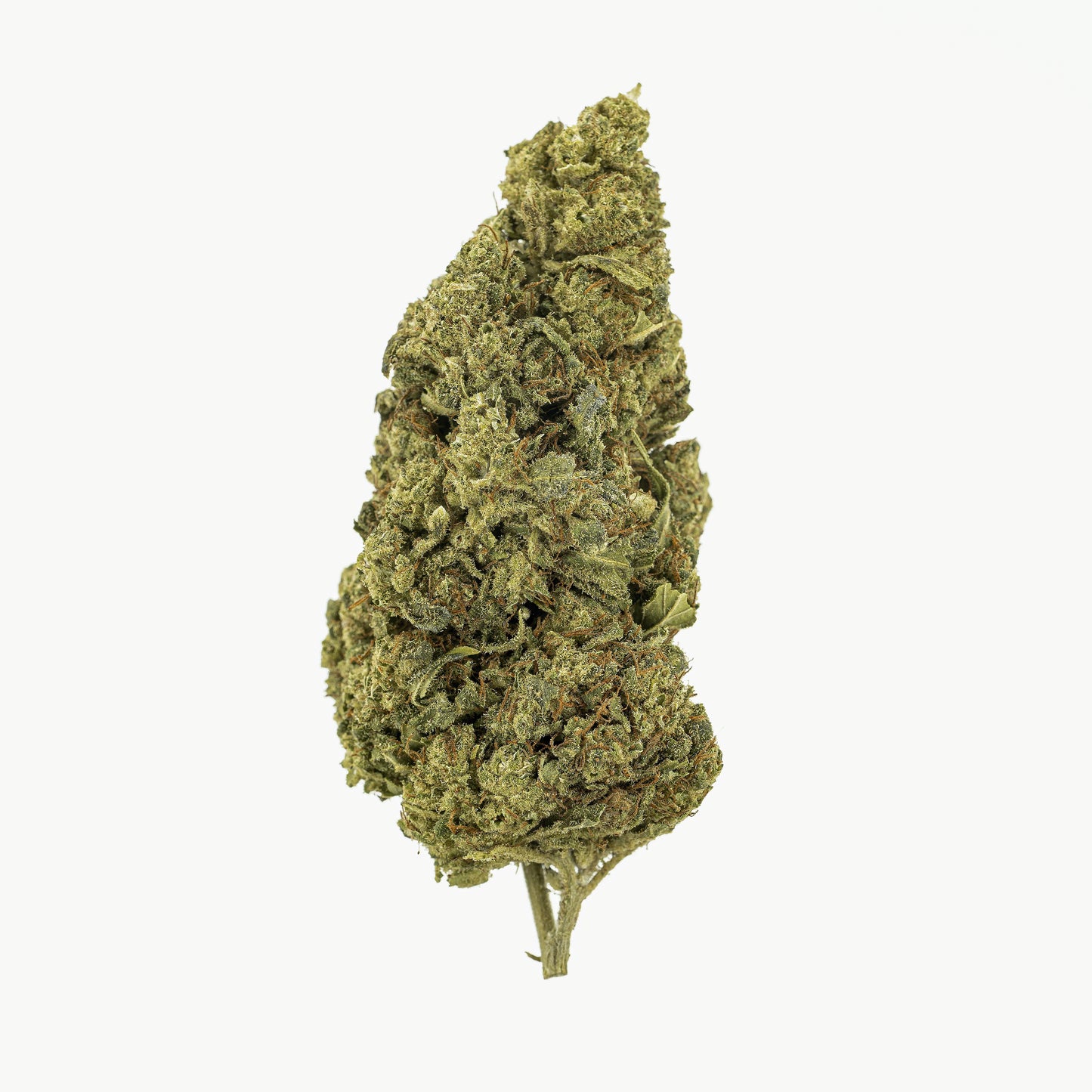 amnesia-infused-image