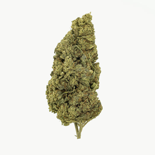 amnesia-infused-image