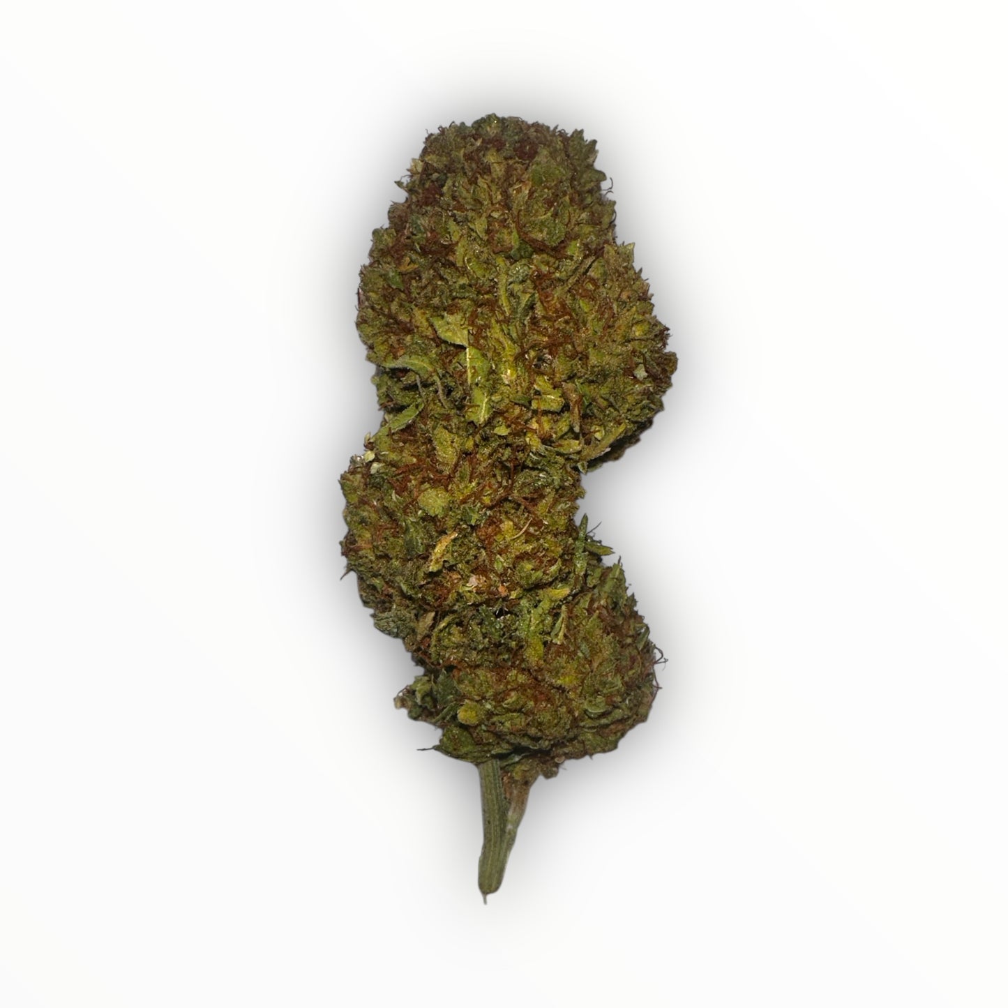 gorilla-glue-cbd-buds