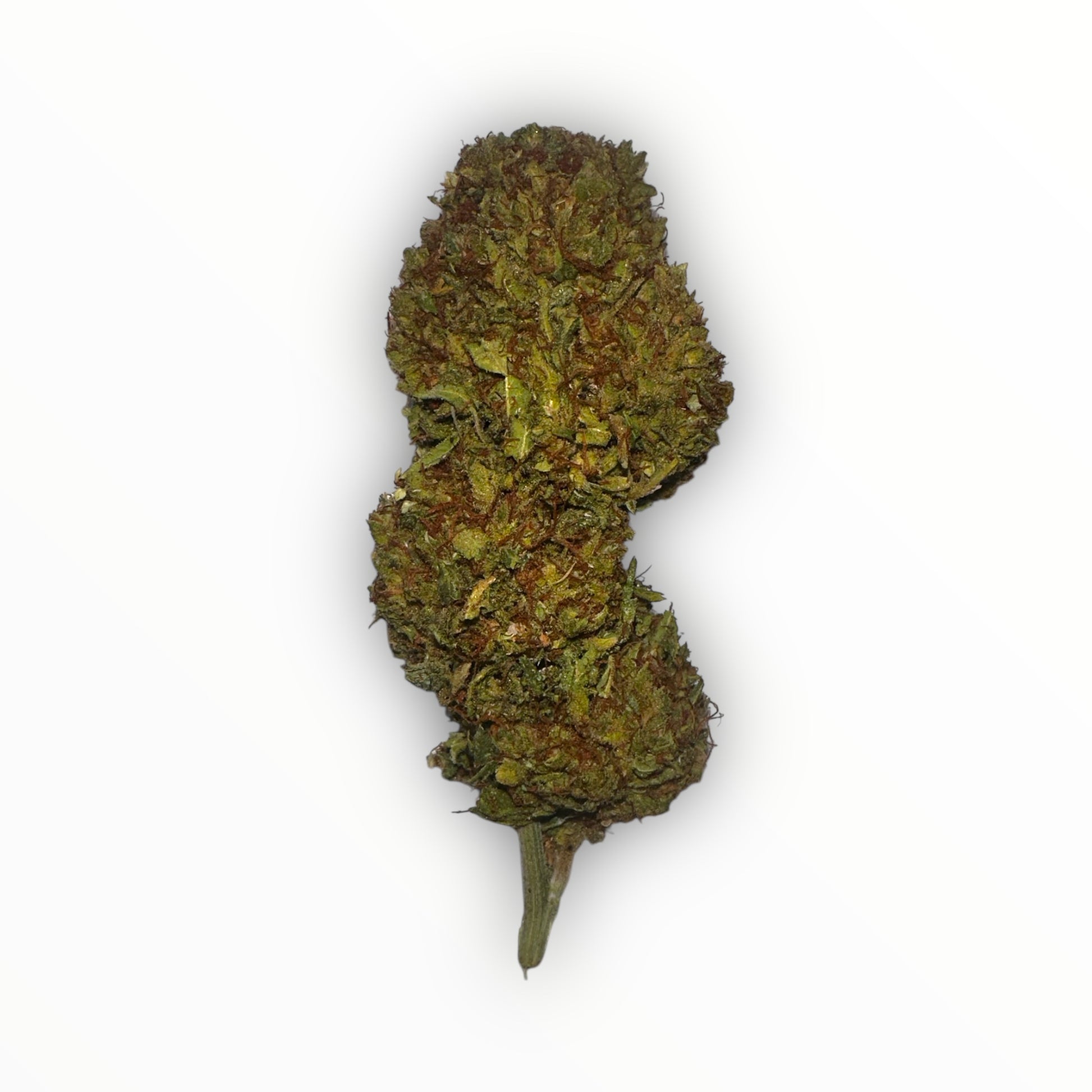 gorilla-glue-cbd-buds