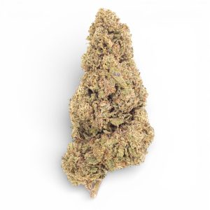 Raspberry Kush CBD Buds